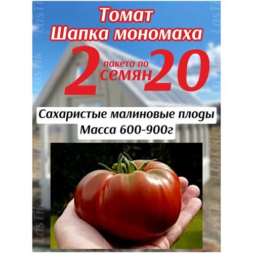 Томат Шапка Мономаха 2 пакета по 20шт семян томат южный загар 2 пакета по 20шт семян