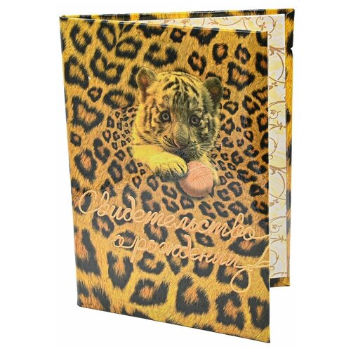 Обложка для свидетельства о рождении 