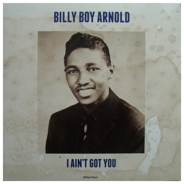 Billy Boy Arnold Billy Boy Arnold - The Singles Collection (180 Gr) Fat Cat Records - фото №2