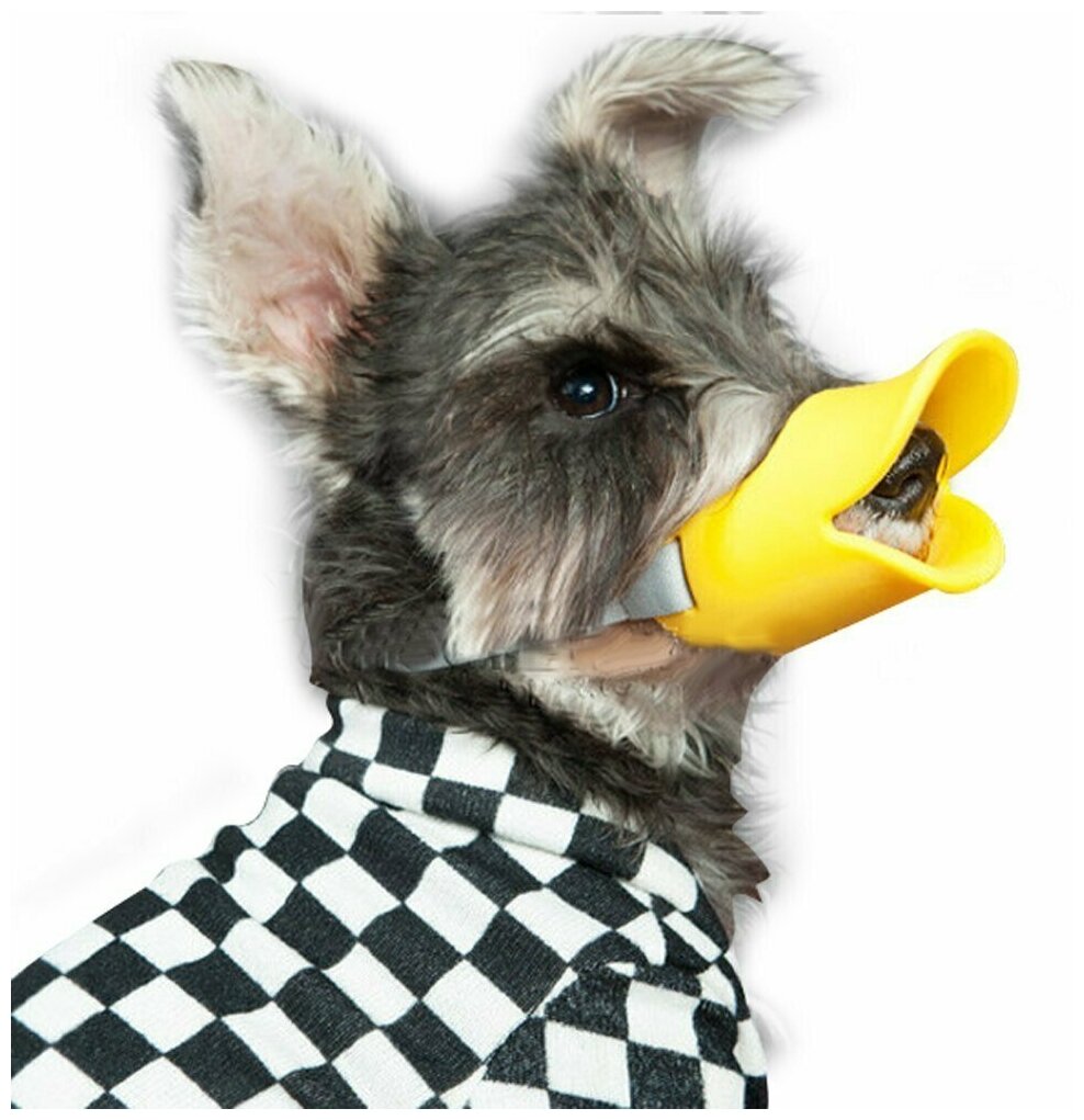 Силиконовый намордник - утка для собак, намордник для мелких и средник собак, желтый, размер L - фотография № 10