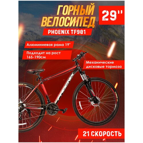 Велосипед горный Phoenix TF901 29