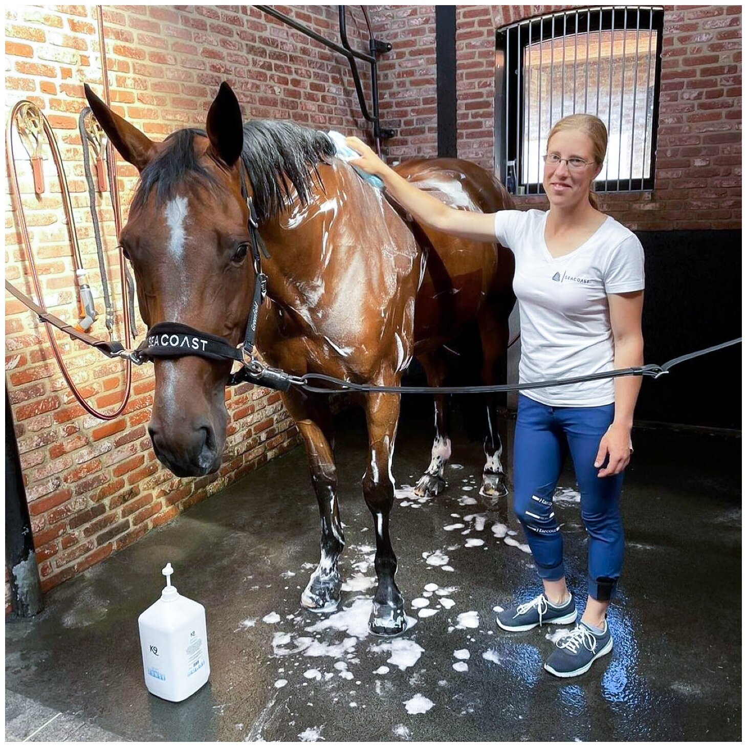 Целлюлозная губка для мытья лошадей и других животных K9 Competition - фотография № 3
