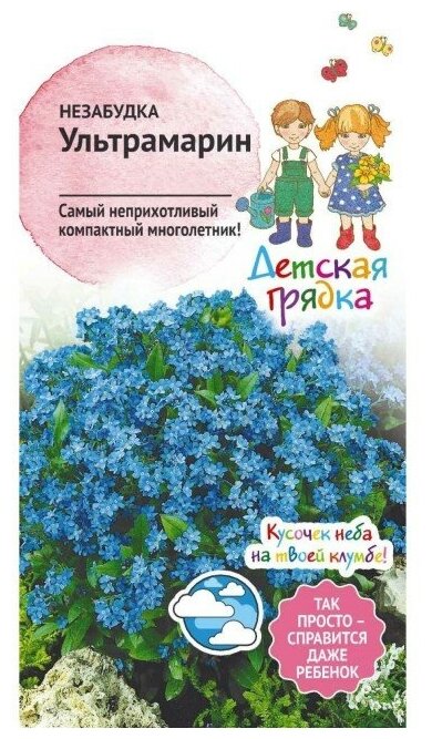 Семена Незабудка Дг Ультрамарин 0,1 г Детская грядка - фото №4