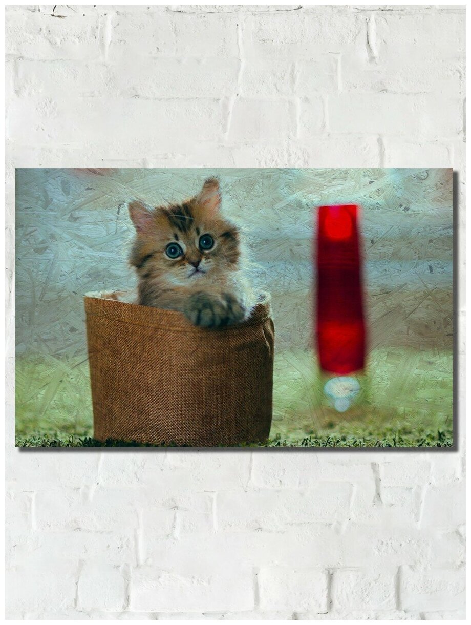 Картина интерьерная на рельефной доске Животные (кот, котик, котята) - 611