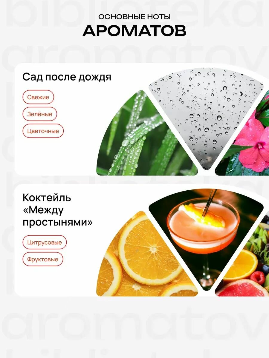 Библиотека ароматов "Что скрывают твои глаза" Парфюмерный набор 10 ароматов — фото 1