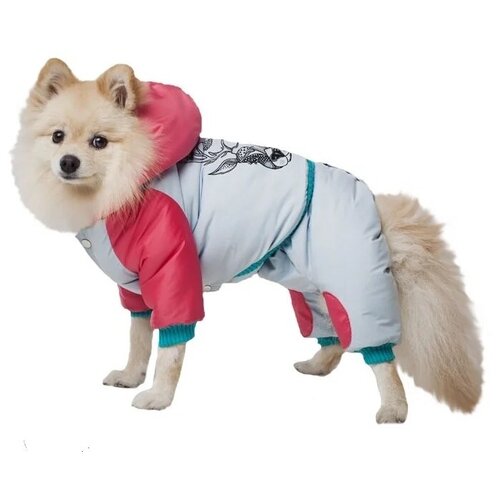 DogVille, Одежда для собак - комплект: полукомбинезон и куртка с капюшоном, на кнопках, зима, 52623д