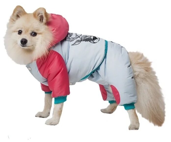 DogVille, Одежда для собак - комплект: полукомбинезон и куртка с капюшоном, на кнопках, зима, 52623д - фотография № 1