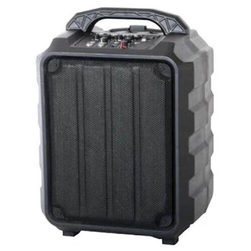 Leem PR-6 Акустическая система портативная на колесах с аккумулятором 25Вт 1400000₽