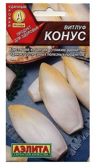 Аэлита Витлуф (цикорий салатный) конус 0,5г