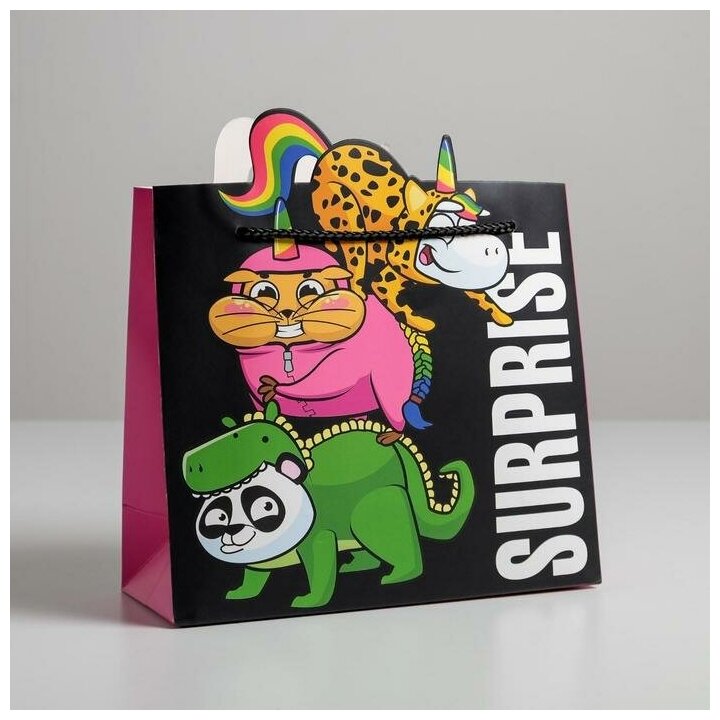 Пакет подарочный «Surpprise», 25 × 26 × 10 см