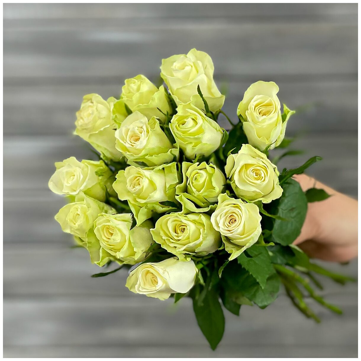 Букет живых цветов из 17 белых роз с лентой 40см