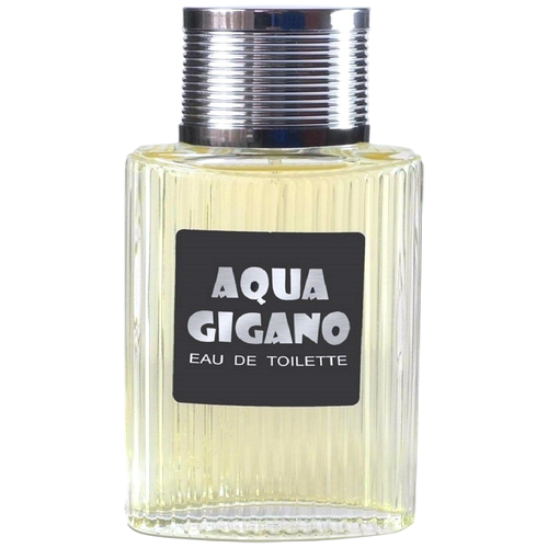Neo Parfum Туалетная вода мужская AQUA GIGANO, 100 мл