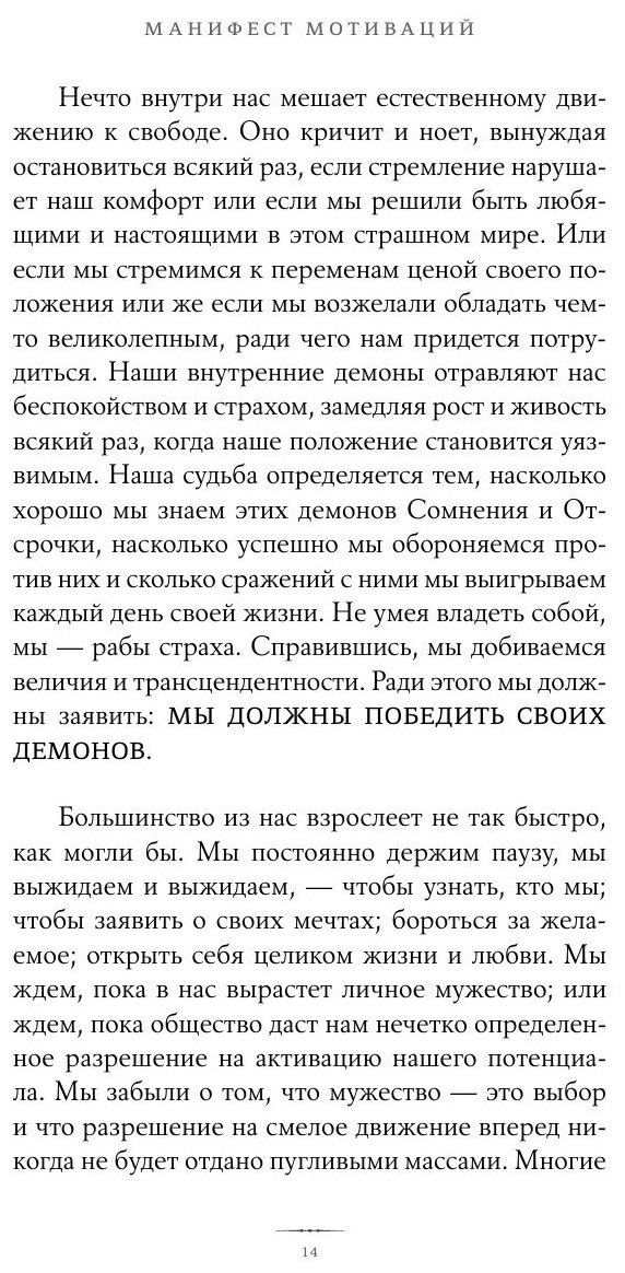 Манифест мотиваций (Брендон Берчард) - фото №13
