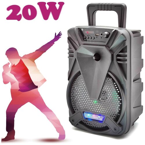 Активная напольная акустика KTS-1209 357000₽