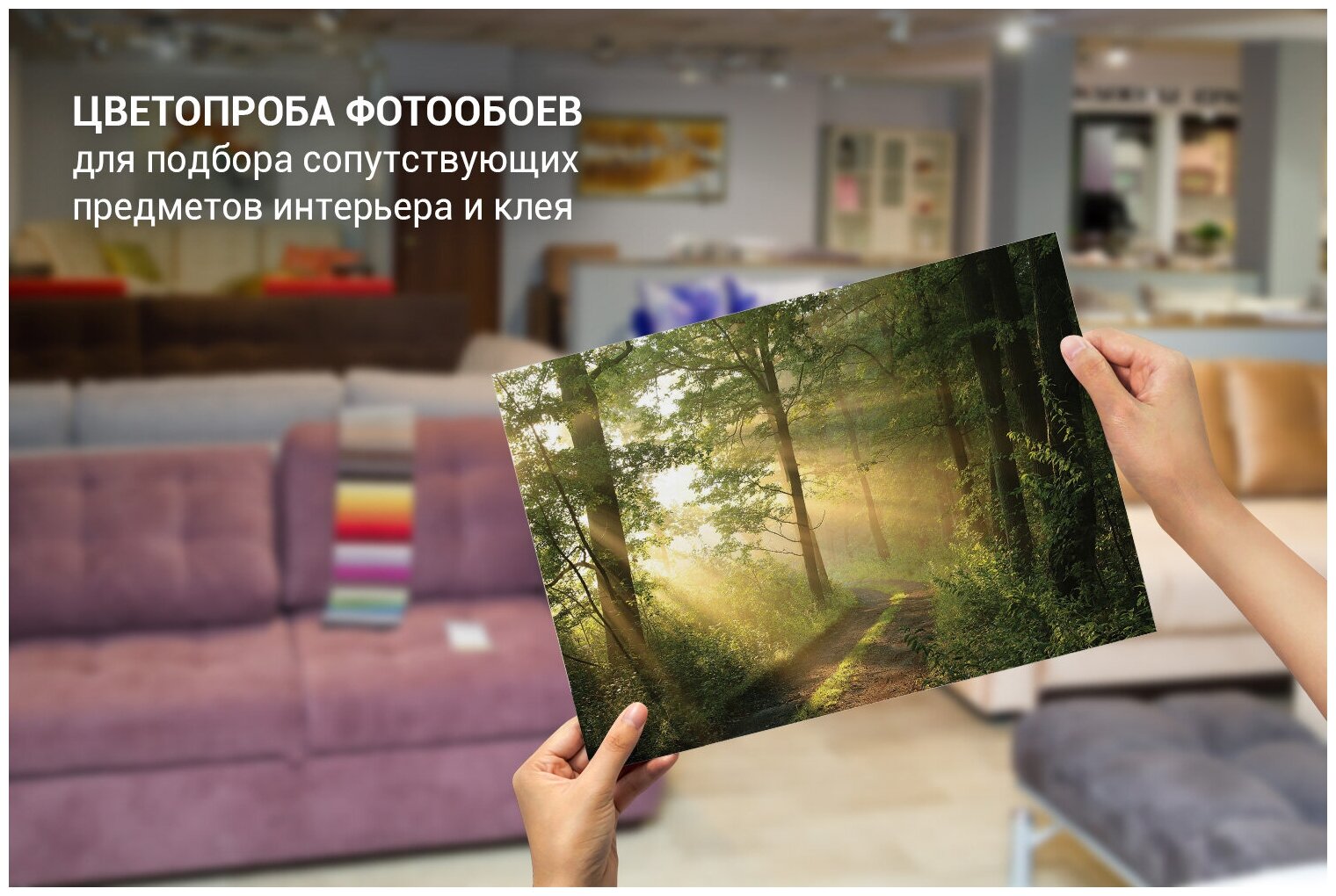 Фотообои, фактура Рогожка, "Лесная дорога 500x270" - фотография № 4