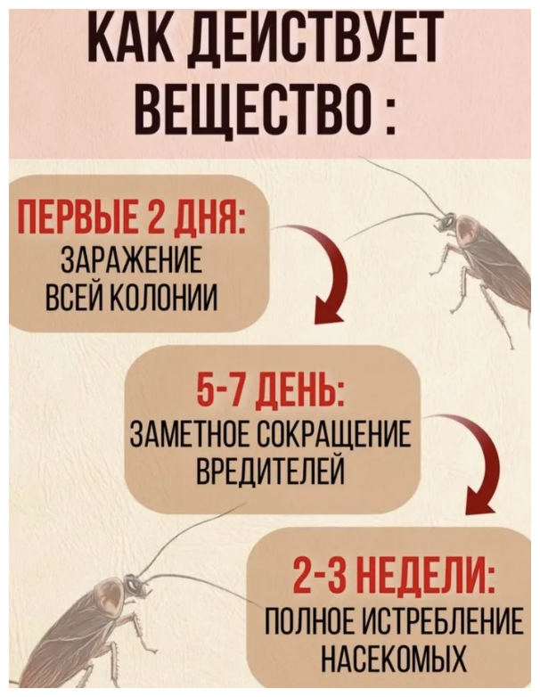 Средство от тараканов 3ШТ. Китайская отрава от насекомых, вредителей. Приманка, ловушка для тараканов. Убийца целого гнезда. Дуст - фотография № 5