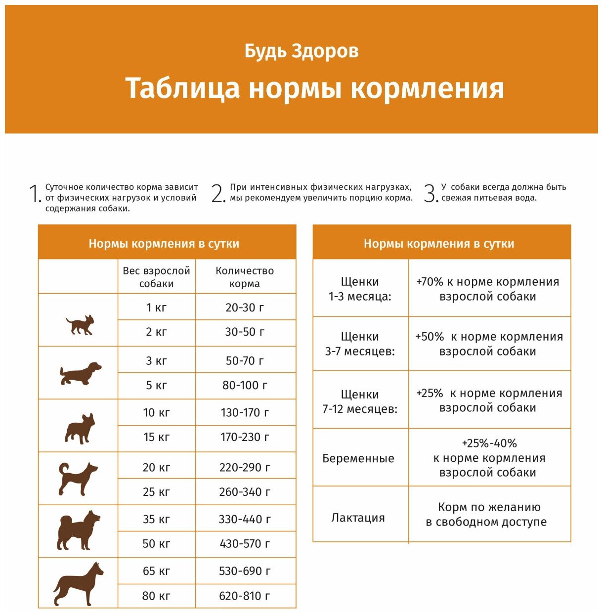 Сухой корм для собак Будь Здоров полнорационный с рыбой крупная гранула 2.5кг ООО Живая сила - фото №3
