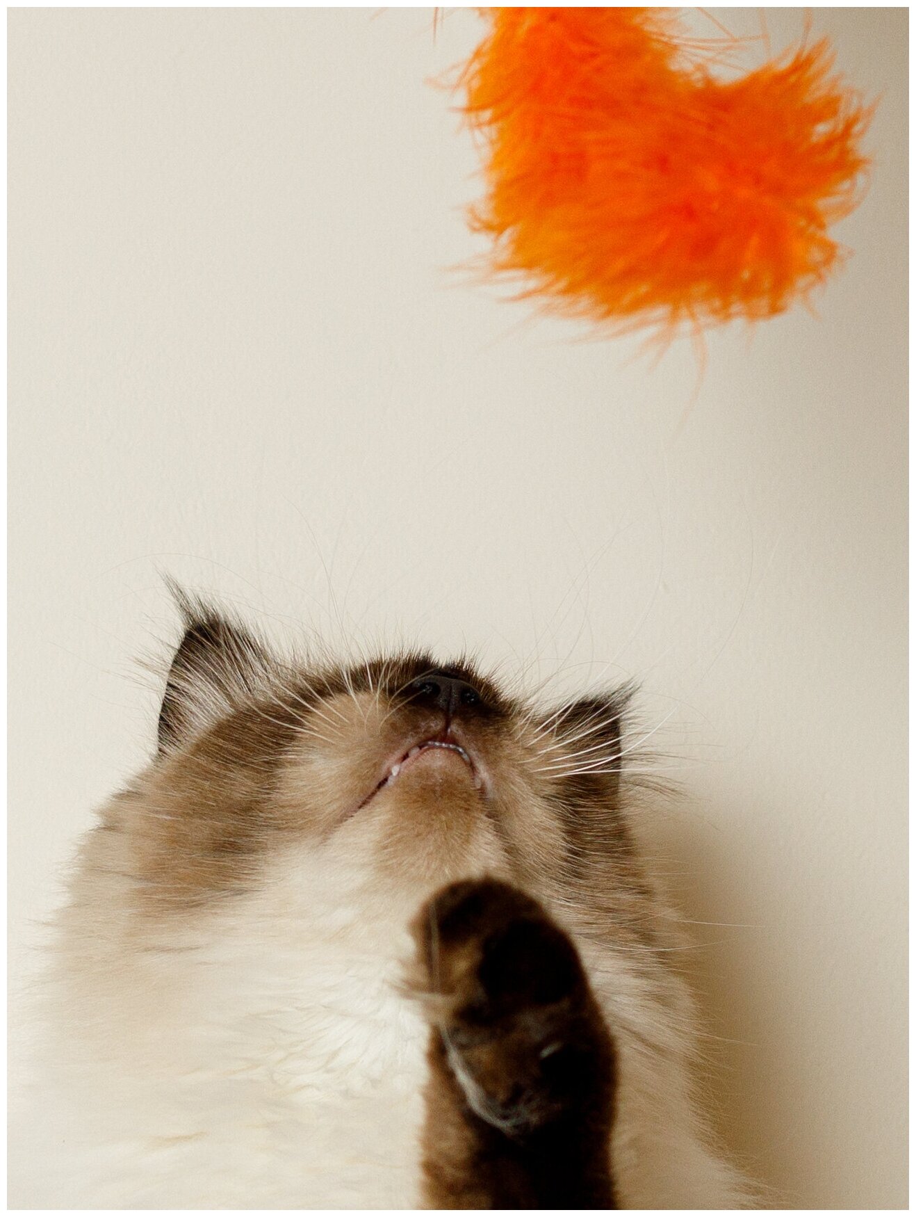 Игрушка для кошек и котят Japan Premium Pet пушистая дразнилка в виде жирафа, цвет оранжевый. - фотография № 11