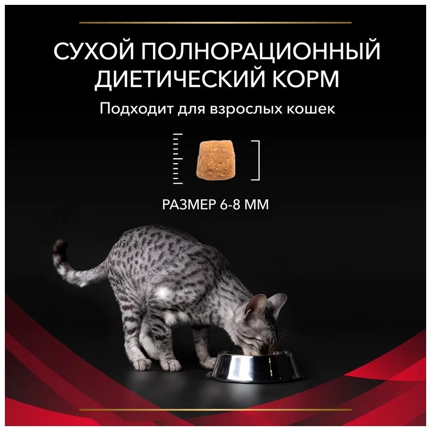 Сухой корм Pro Plan Veterinary diets DM корм для кошек при диабете, Пакет, 1,5 кг - фотография № 20