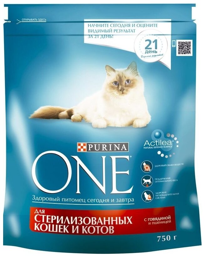 Сухой корм Purina ONE для стерилизованных кошек и котов с говядиной и пшеницей пакет 750г, для взрослых кошек - фотография № 8