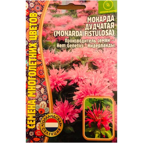 Семена Монарды дудчатой (Monarda fistulosa) (0,1 г)