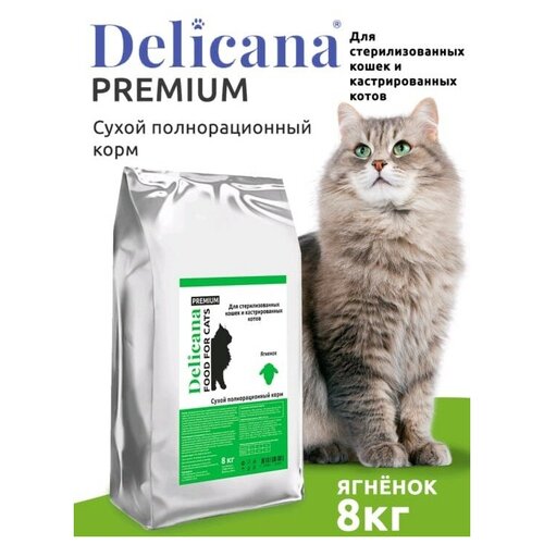 DELICANA Сух. д/кошек КастСтер Ягненок 8кг / 1*1