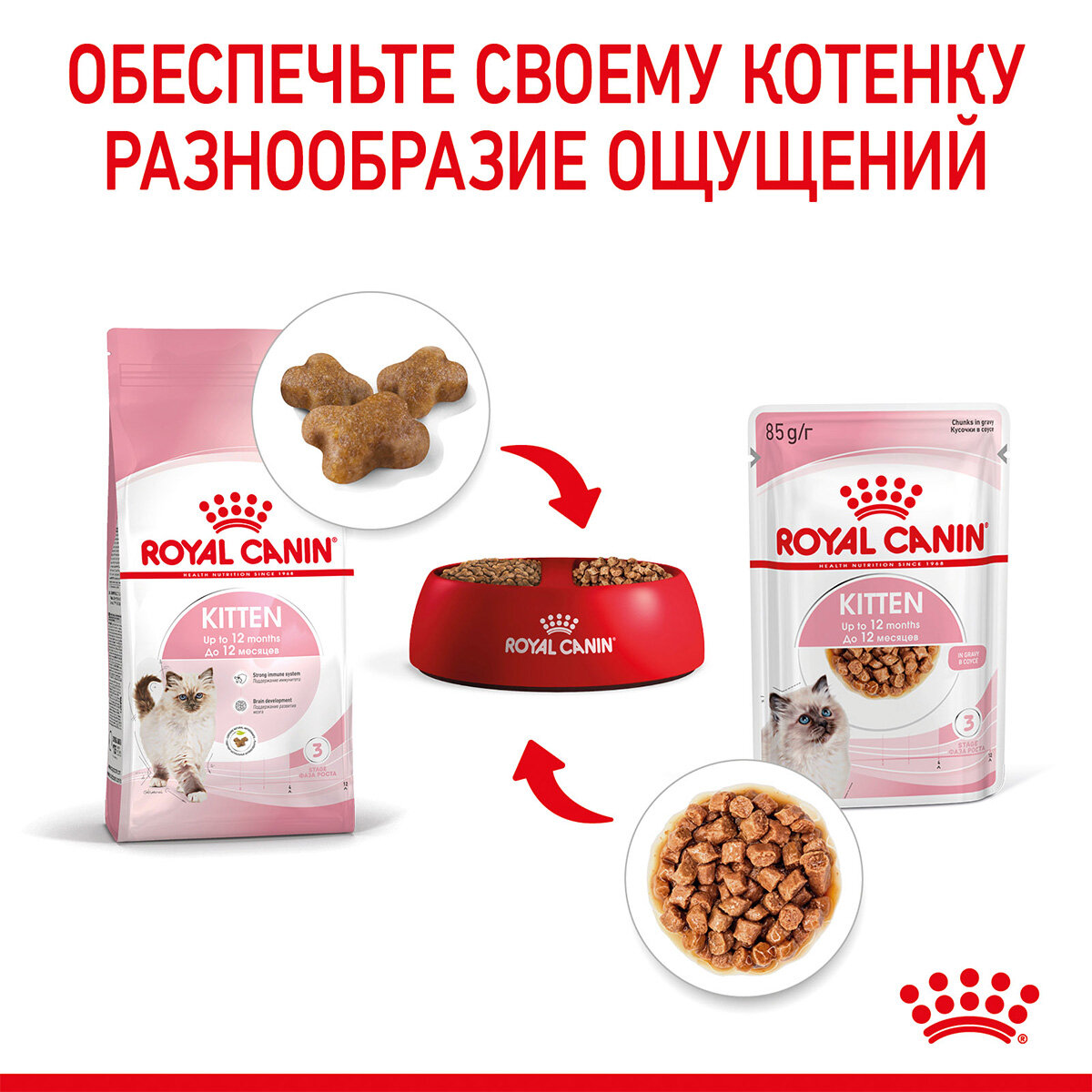 ROYAL CANIN KITTEN для котят в соусе пауч (85 гр х 28 шт) - фотография № 6