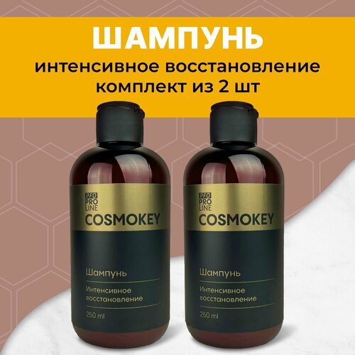 Cosmokey / Космокей Шампунь для восстановления поврежденных, ломких и сухих волос, 2 шт по 250 мл