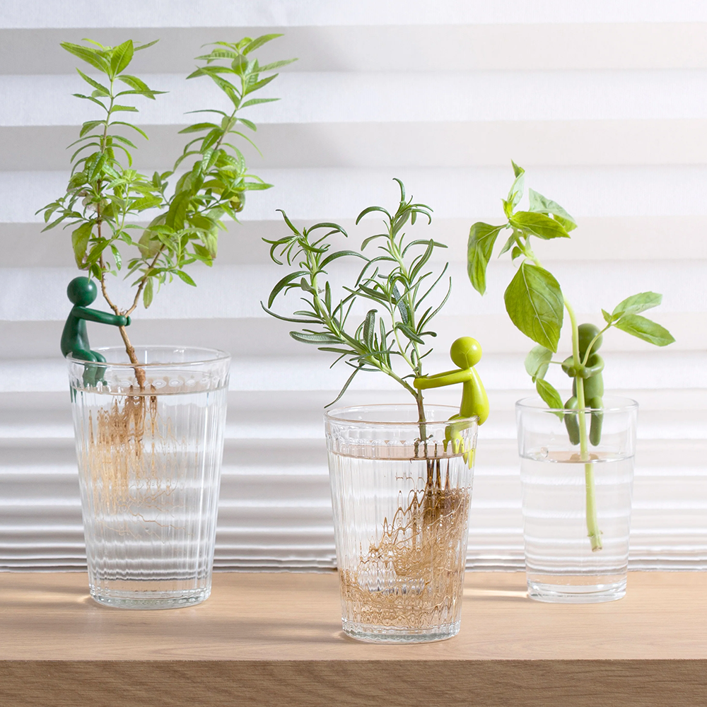 Держатели для проращивания растений Peleg Design Leafriend, 3 шт