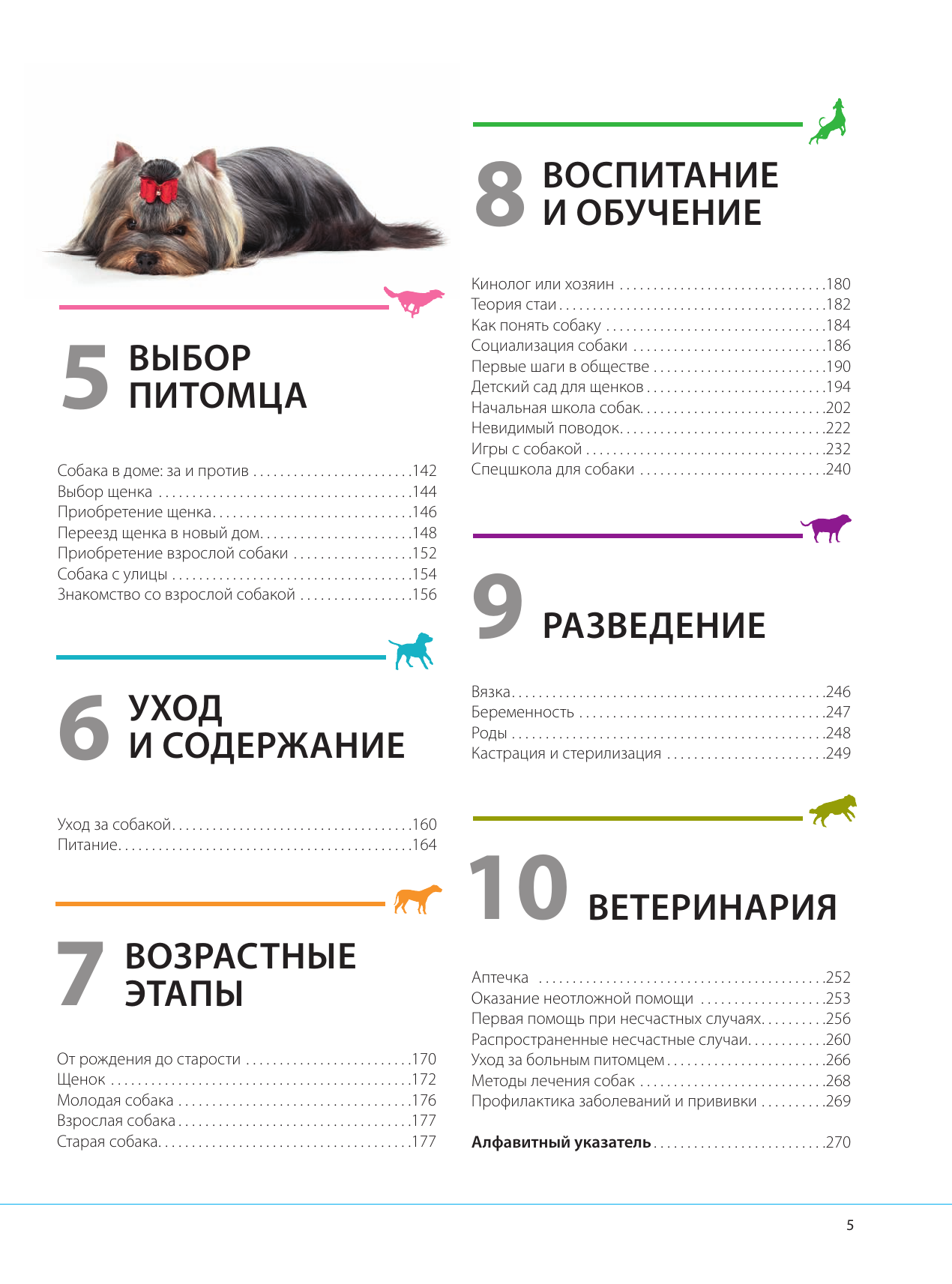 Собаки. Подарочная иллюстрированная энциклопедия (новое оформление) - фото №13