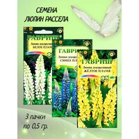 Многолетнее растение. Стебли прямые, прочные. Листья пальчатые, на длинных черешках. Цветки разнообразной окраски, собраны в многоцветковые  ...