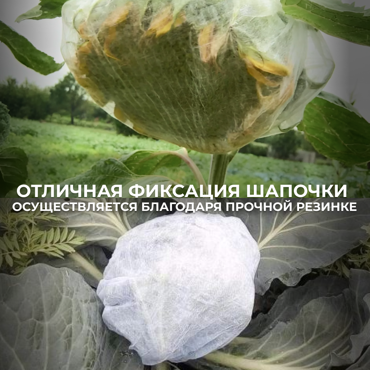 Сетки Защитные От Птиц Шапочки для капусты и подсолнуха спанбонд защита от вредителей и бабочек 50шт чехол для капусты укрывной материал