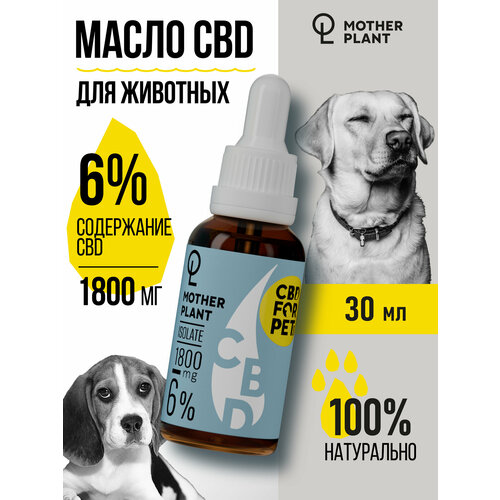 Масло MotherPlant с экстрактом CBD для животных собак и кошек 1800 мг (6%) 30 мл