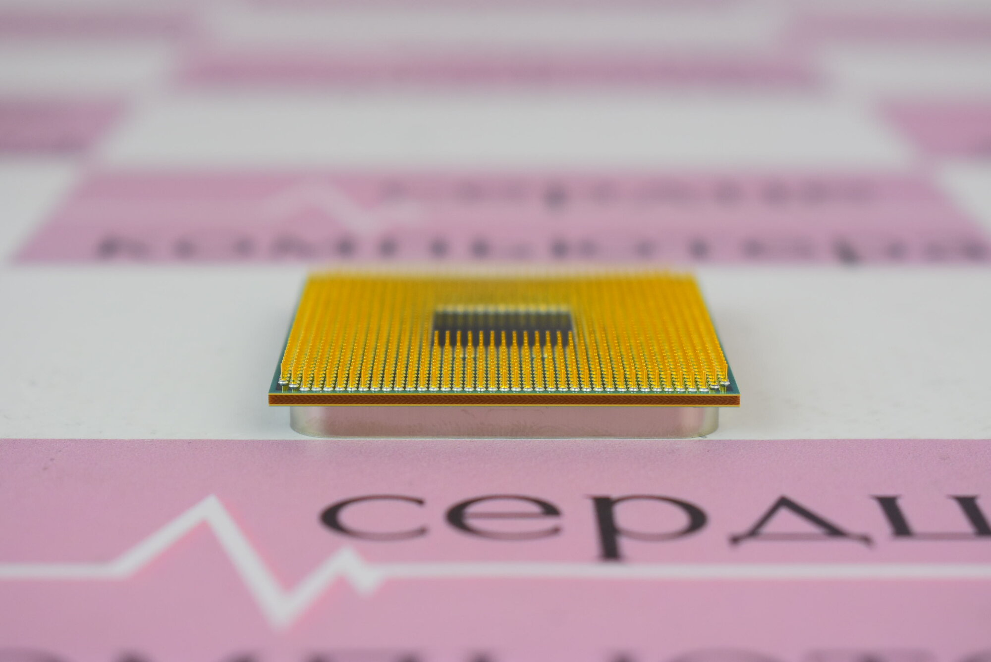 Процессор AMD Ryzen 5 5600GT, AM4, OEM, DDR4, 3600Mhz, L3 16Mb — фото 1
