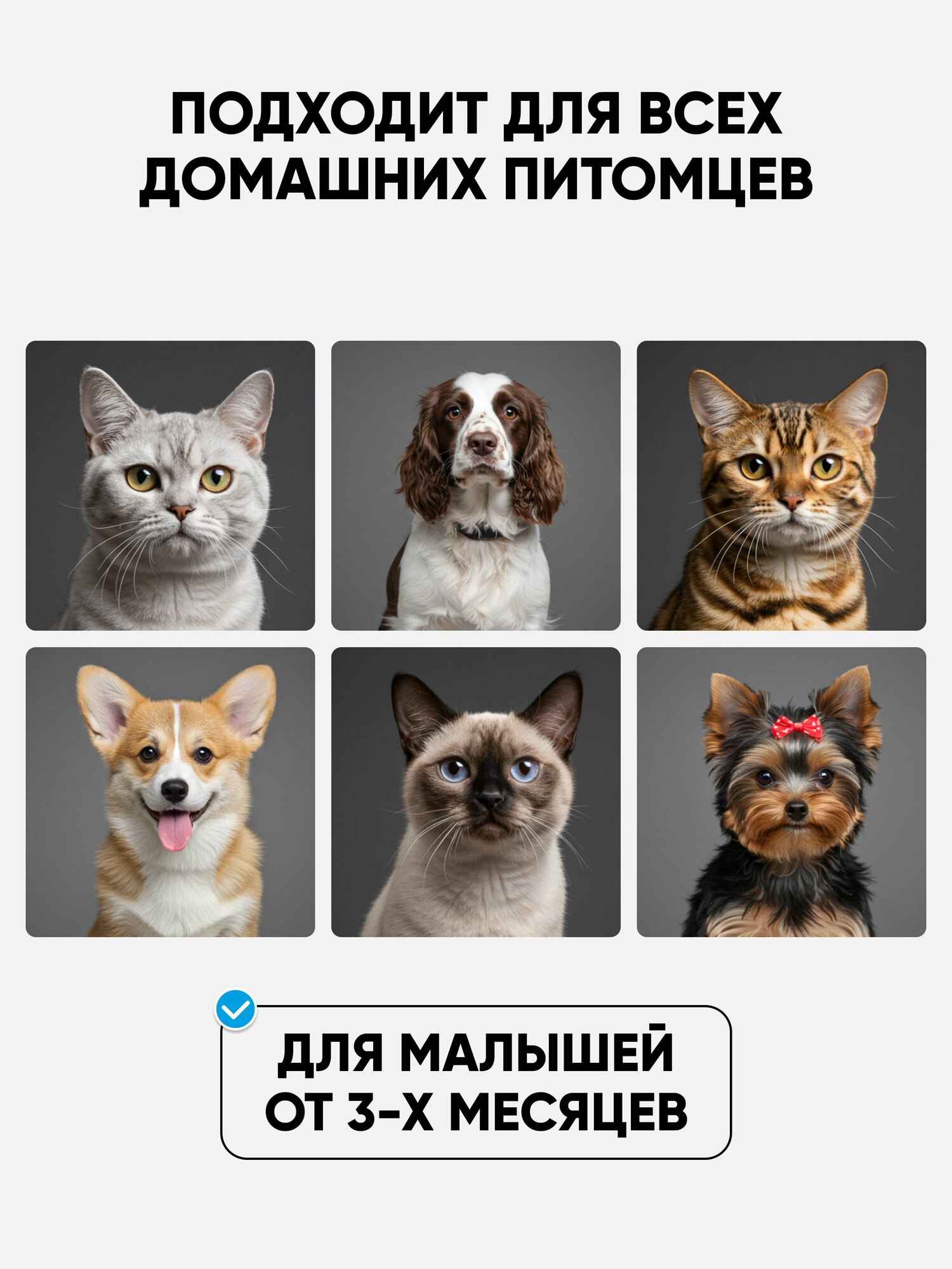 Лосьон для глаз собак и кошек очищающий, глазные очищающие капли для животных Harly 100 мл — фото 1