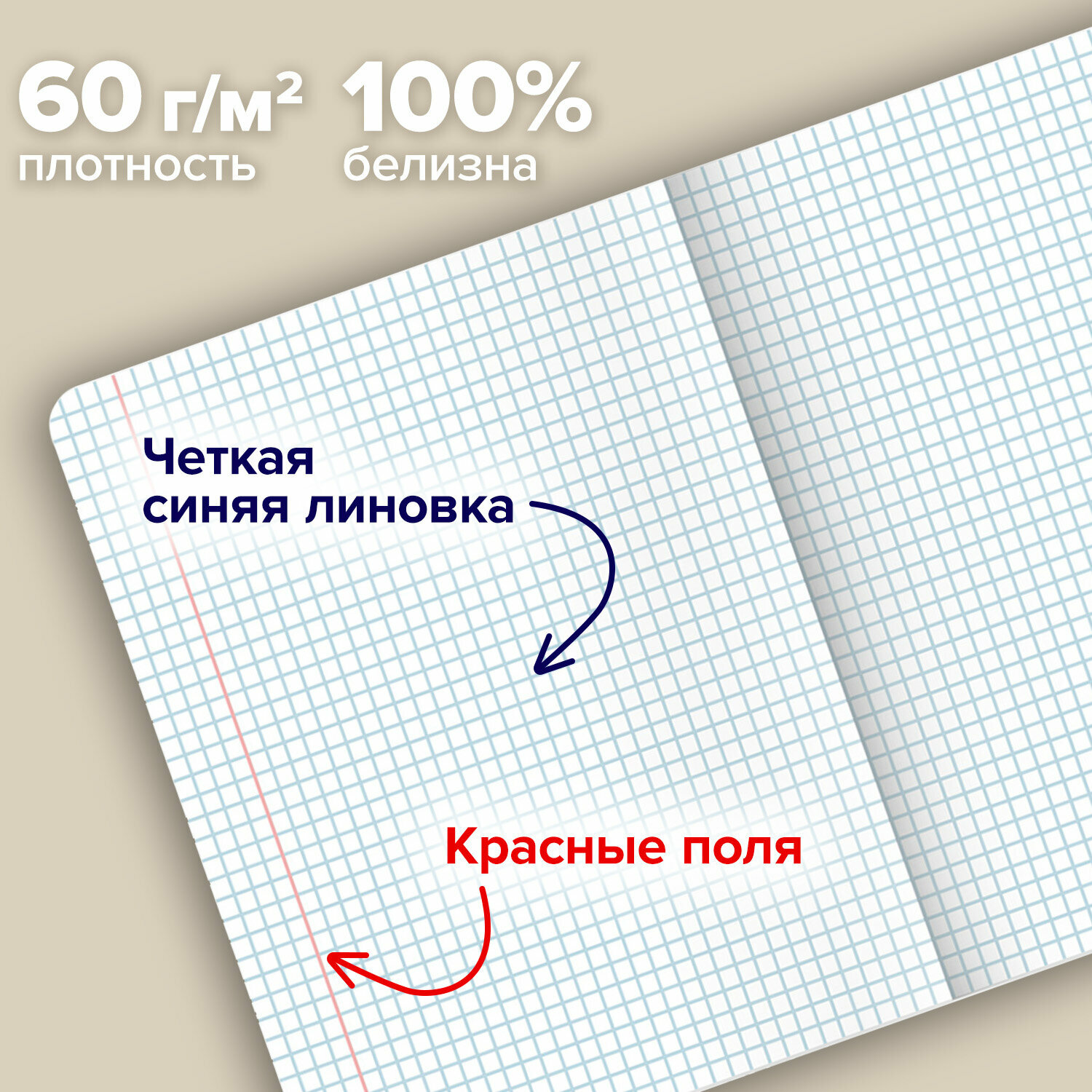Тетрадь А5 в клетку 48 листов для записей в школу и офис, набор 5 штук, матовая обложка, Brauberg Mood, 404955 — фото 1