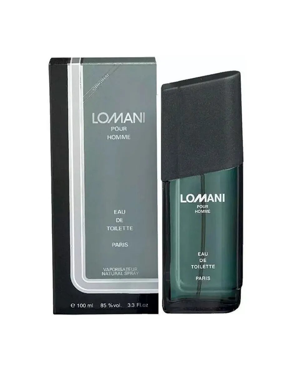Lomani Туалетная вода Pour Homme мужская, 100 мл edt
