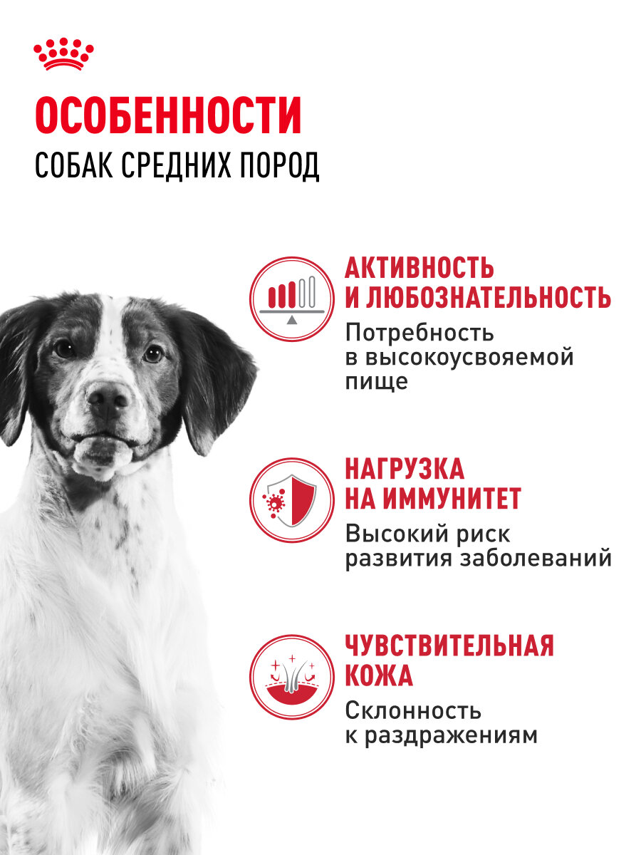 Сухой корм для собак Royal Canin Medium Adult для средних пород, 3 кг — фото 1