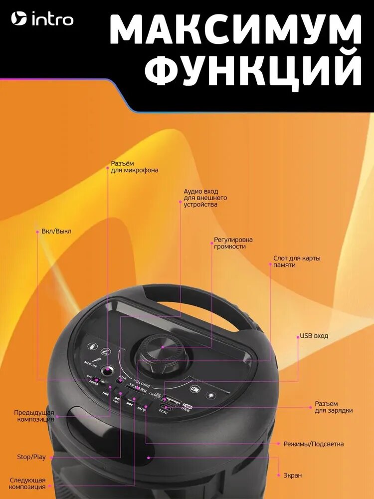 Колонка блютуз беспроводная Intro WZ810 музыкальная большая караоке с микрофоном и радио, Bluetooth 5.0, microSD — фото 1