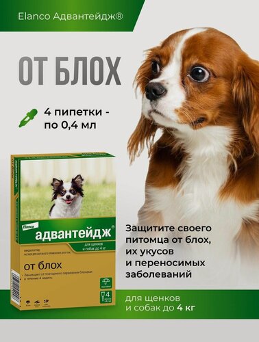 Изображение товара Препарат от блох и клещей Адвантейдж для собак массой до 4 кг, 4 пип