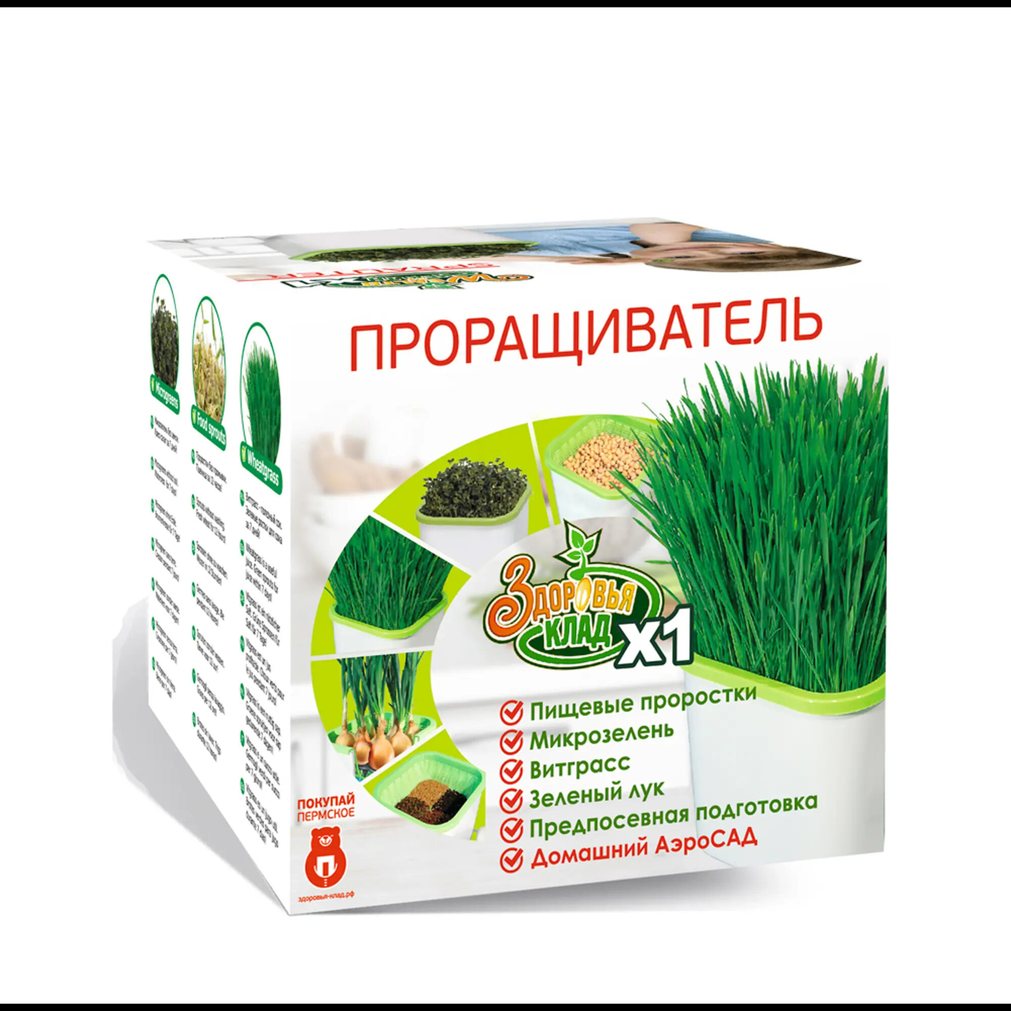 Мощная чудо грядка луковая ЗК гидропонный проращиватель в домашних условиях зеленого лука