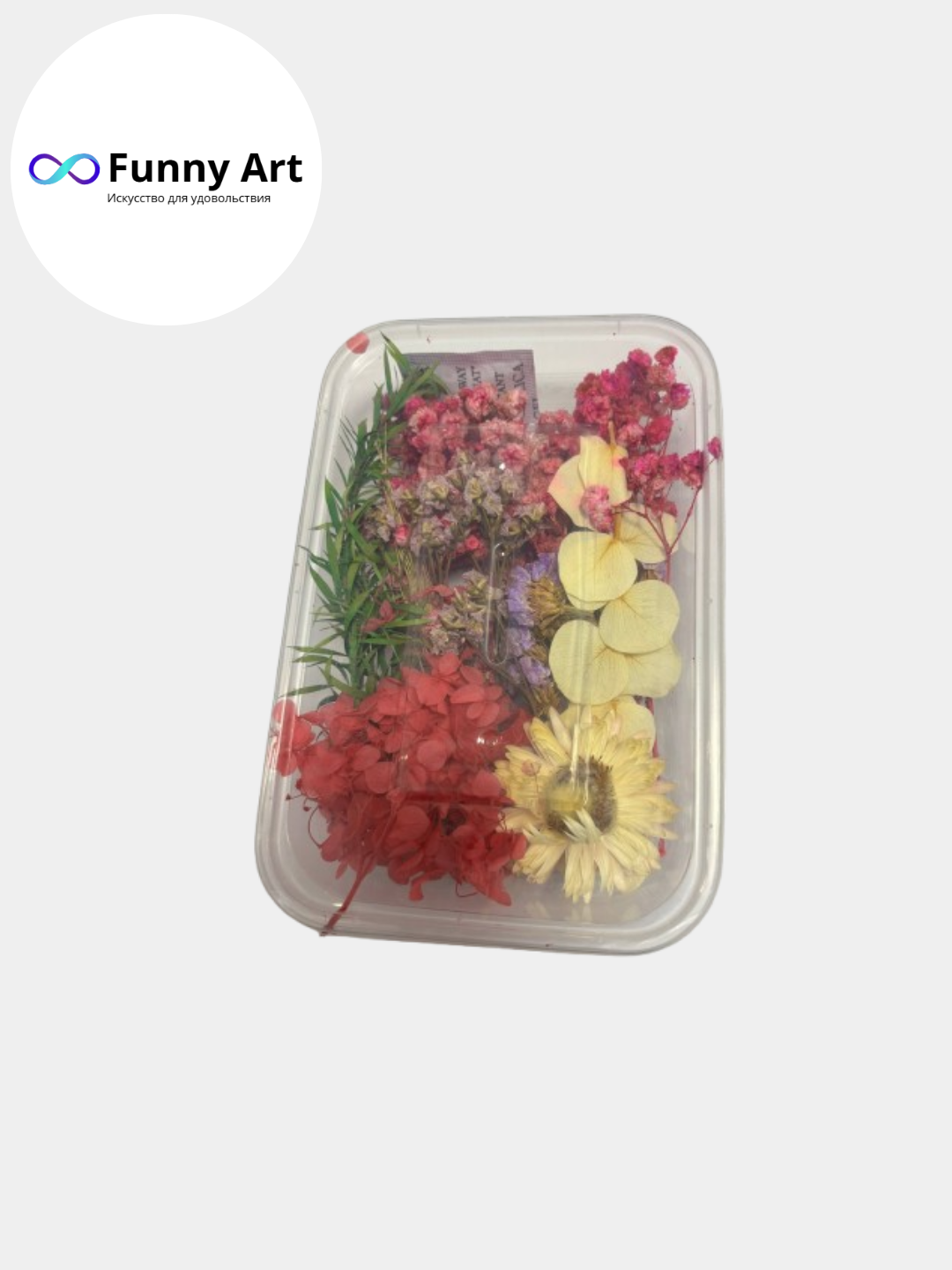 Сухоцветы натуральные для декора и творчества, декоративные цветы, для смолы