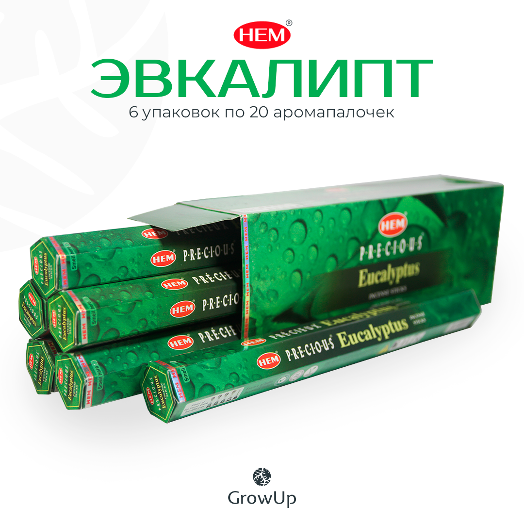 Палочки ароматические благовония HEM ХЕМ Эвкалипт Eucalyptus, 6 упаковок, 120 шт