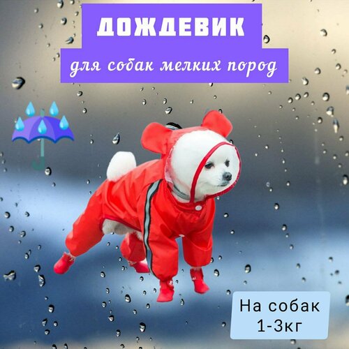 Дождевик для собак для мелких пород, XS, красный