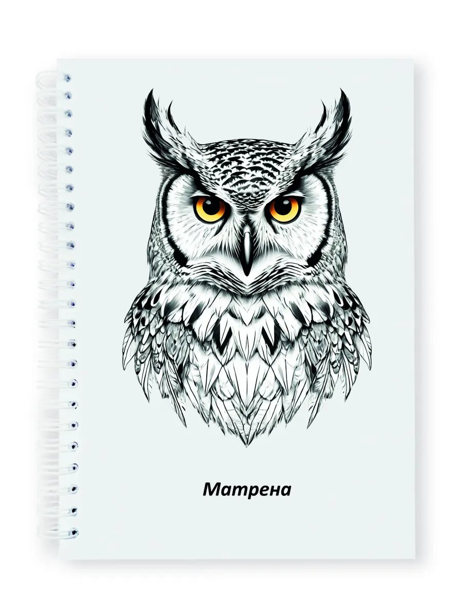 Матрена тетрадь именная сова