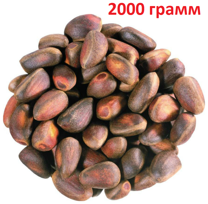Кедровый орех / Орехи кедровые неочищенные, 2000 грамм - фотография № 1