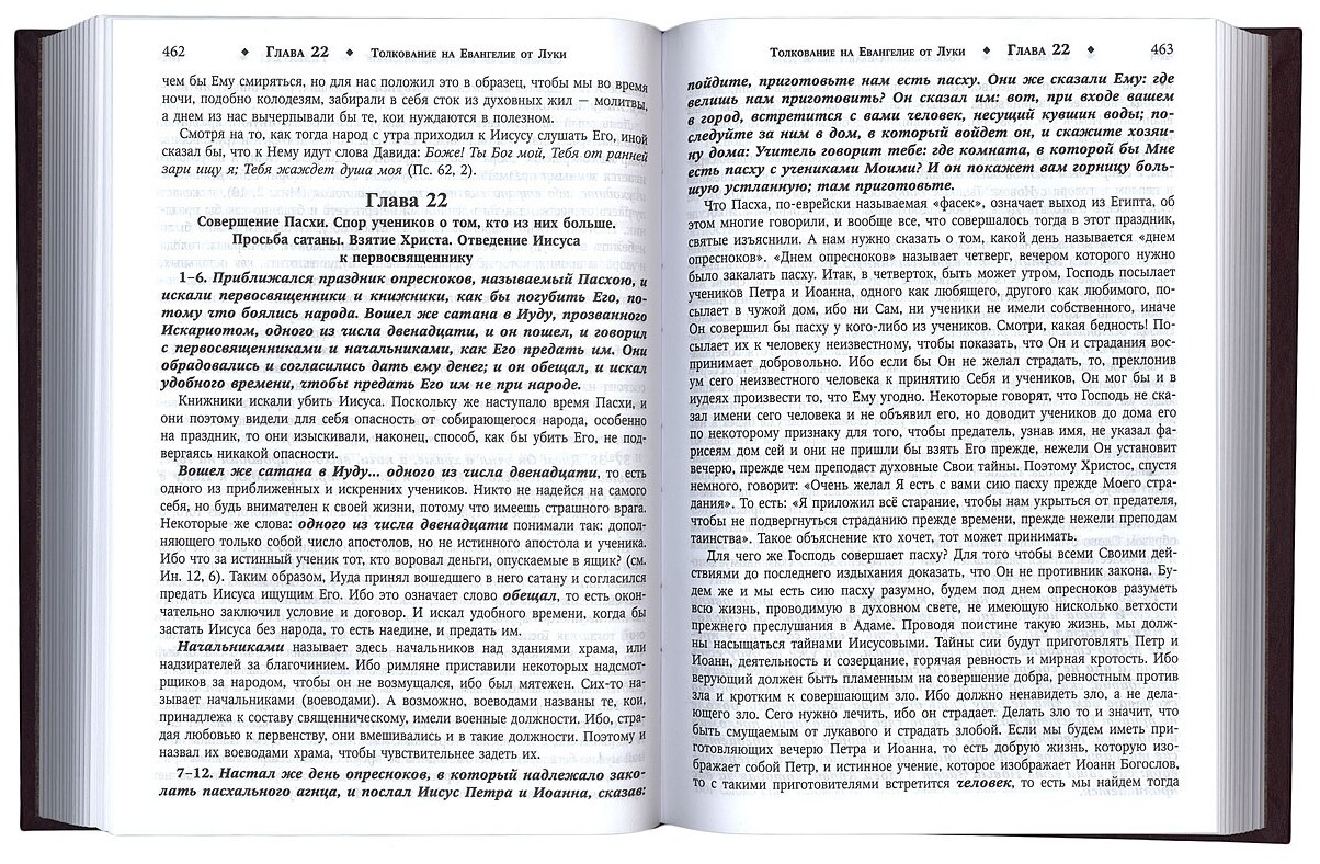 Толкование на Святое Евангелие - фото №6