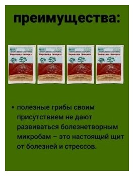 Кормилица Микориза Универсальное удобрение для растений, рассады. Стимулятор роста, защита Набор 4 упаковки по 30 гр ОЖЗ Кузнецова - фотография № 3