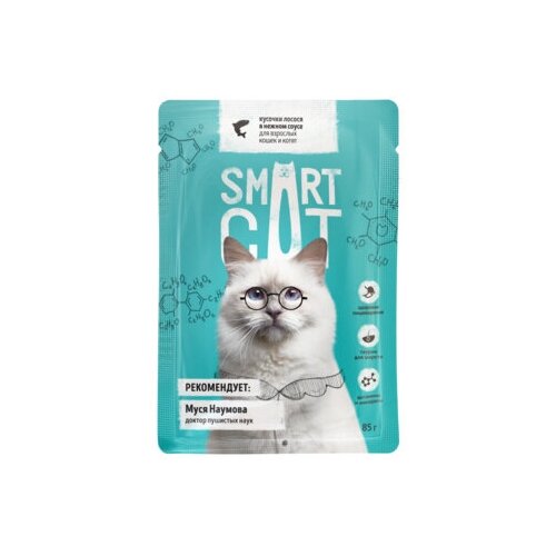 Smart Cat паучи Паучи для взрослых кошек и котят кусочки лосося в нежном соусе 0,085 кг 37040 (37 шт)