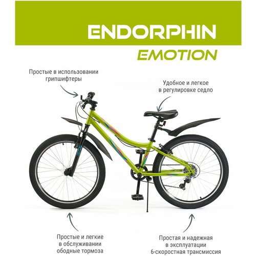 Велосипед подростковый горный с колесами 24 Endorphin Emotion 6 скоростей рама 12 2022 г 1399200₽